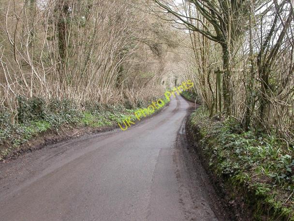 Photo 6"x4" Whitsbury, country lane Rockbourne c2010