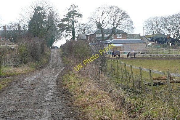 Photo 6"x4" Approaching South Wonston Farm South Wonston c2010