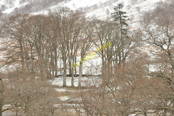Photo 6"x4" Trees surrounding the old grave yard in Glen Nevis D\u00f9n Deardail (Fort) c2010