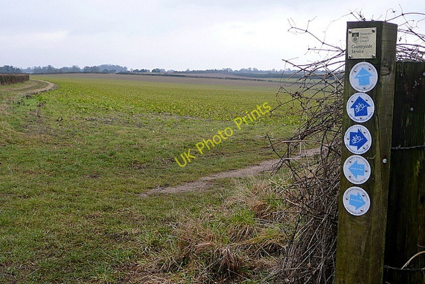 Photo 6"x4" Choices at South Wonston Farm Wonston\/SU4739 c2010