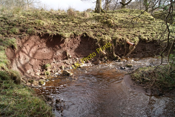 Photo 6"x4" Meander on the burn at Everton Inverkip c2010