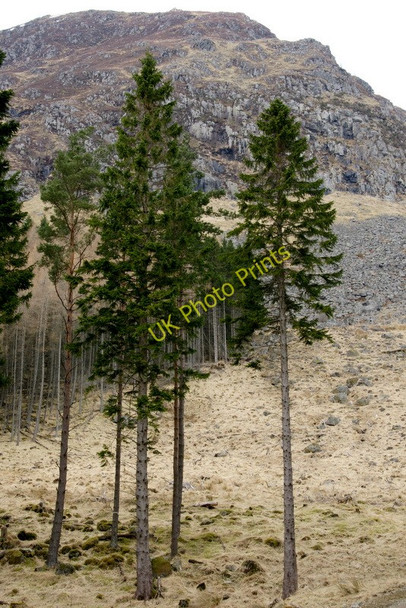 Photo 6"x4" Craig Mellion, above Glen Doll Acharn\/NO2876 c2010