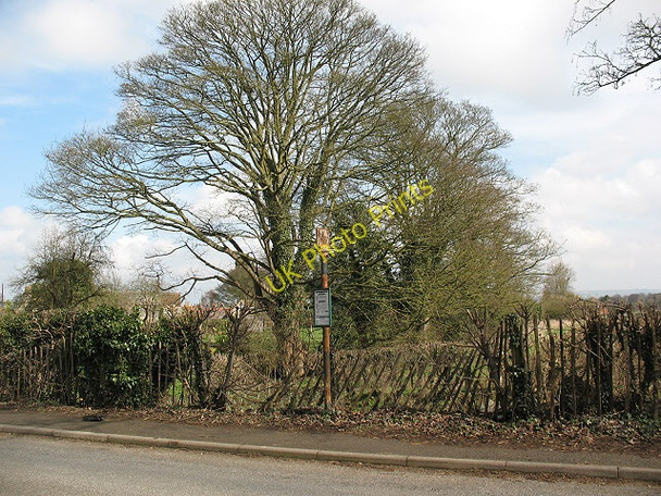 Photo 6"x4" Rusty bus stop Stanton St John c2010