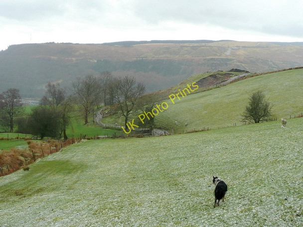 Photo 6"x4" Cwm Bodringallt 1 Ferndale\/SS9996 c2010