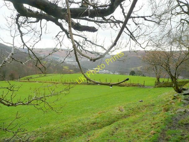 Photo 6"x4" Cwm Bodringallt 4 Ferndale\/SS9996 c2010