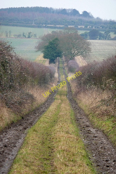 Photo 6"x4" Weston Down Road Weston Colley c2010