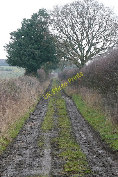 Photo 6"x4" Weston Down Road West Stratton c2010