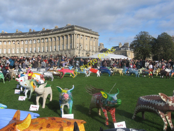 Photo 6"x4" Pigs Farewell in Victoria Park Bath\/ST7464 c2008