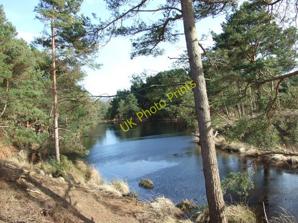 Photo 6"x4" Pond on Newton Heath, Studland Studland c2010