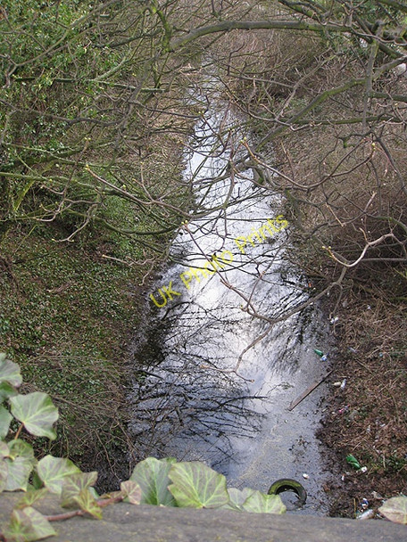 Photo 6"x4" Looking South along the disused Barnsley Canal Overtown\/SE3516 c2010