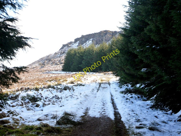 Photo 6"x4" Track to Raven's Heugh, west of Simonside Great Tosson c2010