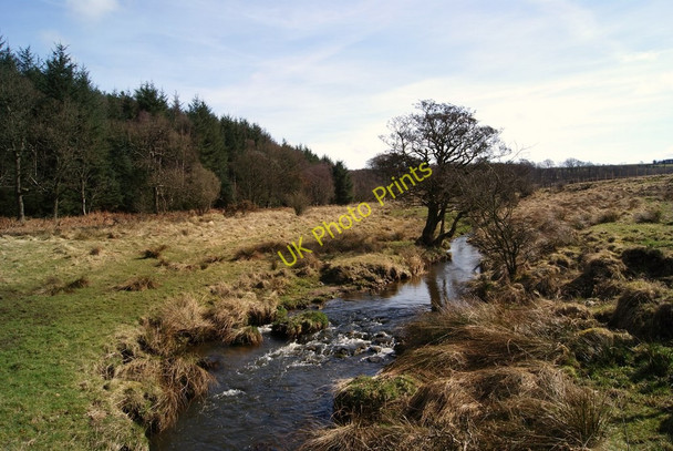 Photo 6"x4" The Shank Burn Blairlinn c2010