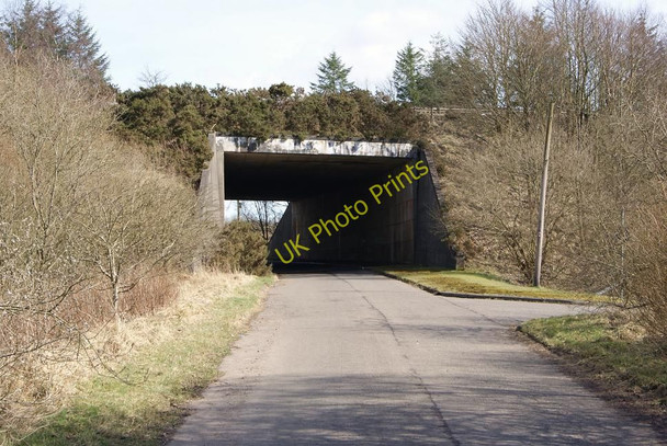 Photo 6"x4" Under the A73 Luggiebank c2010