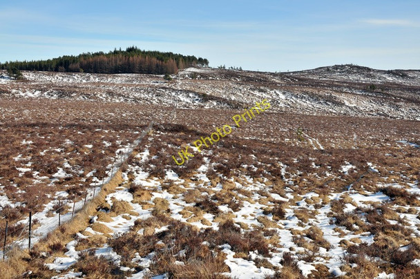 Photo 6"x4" Fence boundary on the moorland Crask of Aigas c2010