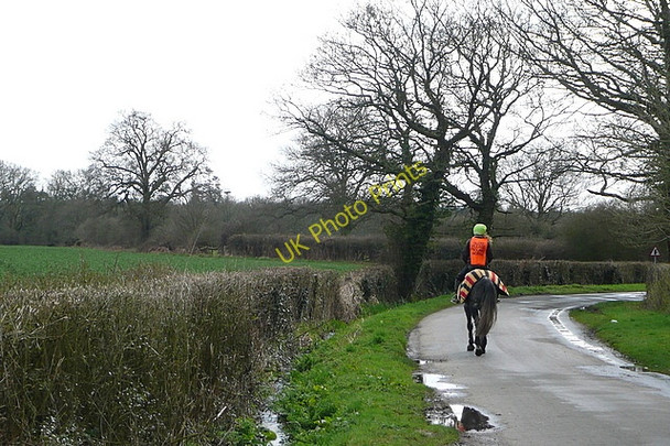 Photo 6"x4" Lane to Riseley Riseley\/SU7263 c2010