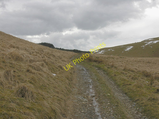 Photo 6"x4" Track passing east of Esgair Gorlan Cwmsymlog c2010