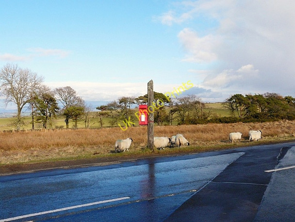 Photo 6"x4" An isolated postbox Ratten Row\/NY3240 c2010