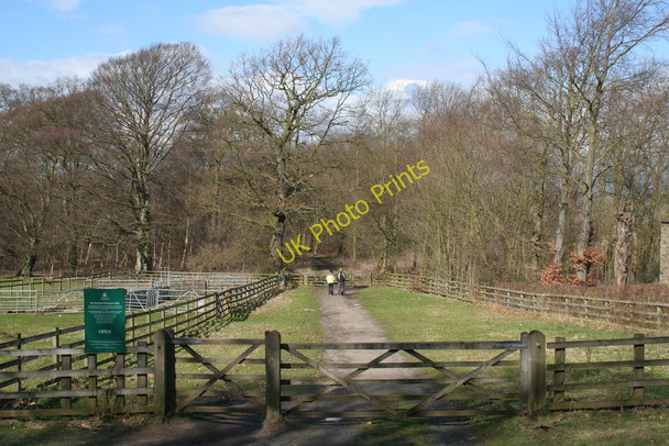 Photo 6"x4" Permissive Footpath, Harewood Estate Wike c2010