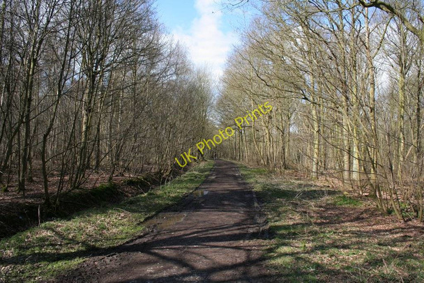 Photo 6"x4" Wall Side Plantation Harewood\/SE3245 c2010