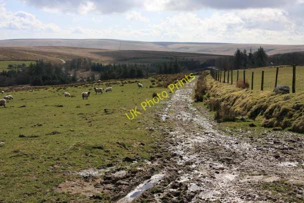 Photo 6"x4" Dartmoor Way Princetown\/SX5873 c2010