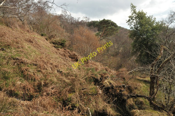 Photo 6"x4" Rough ground near Black Wood Ardvannie c2010