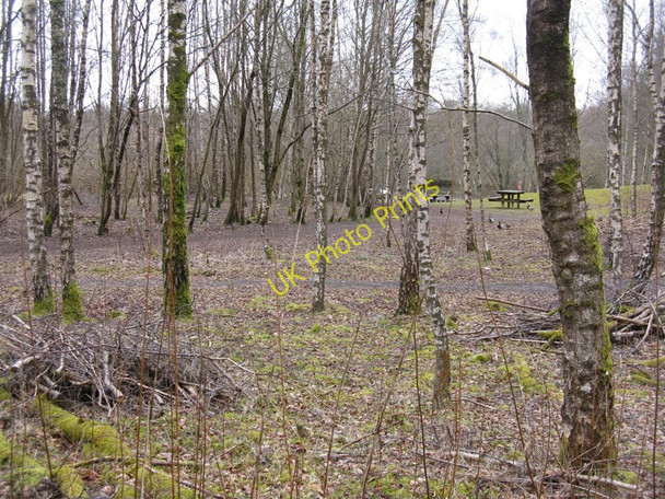 Photo 6"x4" Picnic site at Doune Ponds Doune\/NN7301 c2010