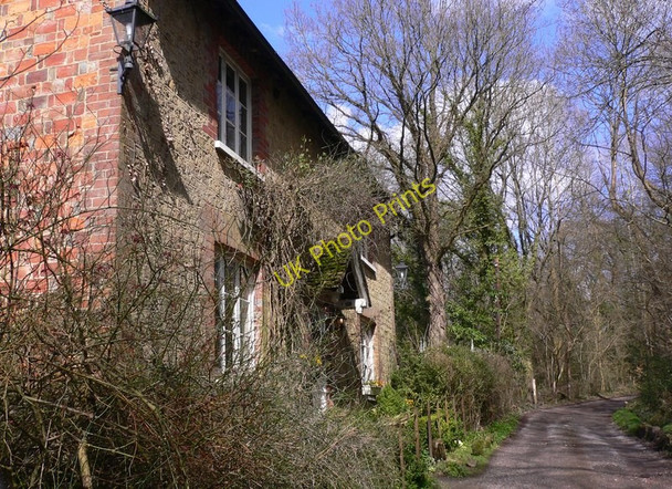 Photo 6"x4" Cottage at Grayswood Haslemere c2010