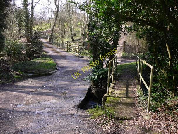 Photo 6"x4" Footbridge at Grayswood Haslemere c2010