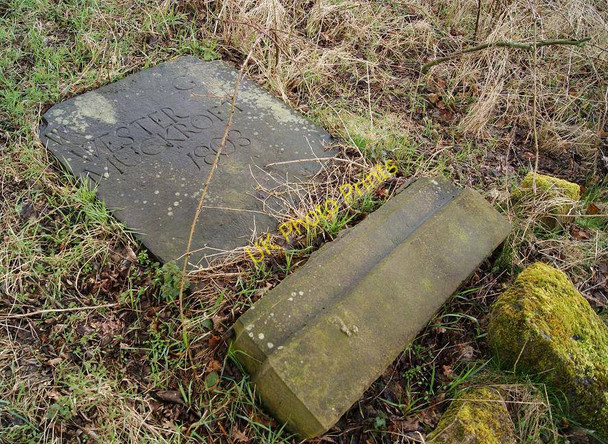 Photo 6"x4" Fallen Headstone (Friends' Burial Ground) Rosebank\/NS6773 c2010