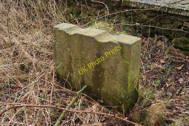 Photo 6"x4" Headstone (Friends' Burial Ground) Rosebank\/NS6773 c2010