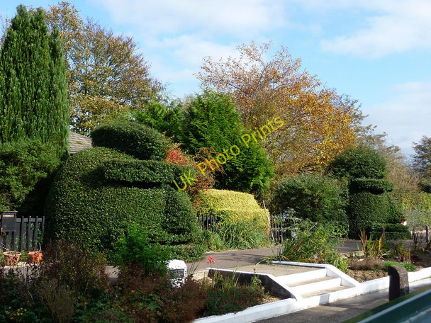 Photo 6"x4" Topiary at Radcot Lock Clanfield\/SP2801 c2009