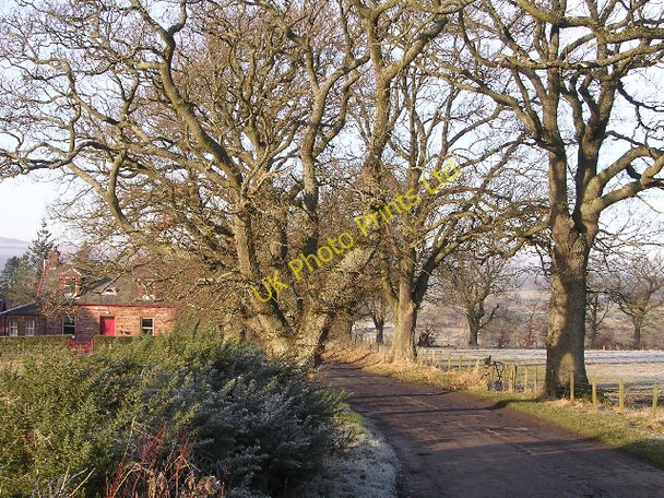Photo 6"x4" Home Farm Cottage, near Boquhan Boquhan\/NS5387 c2005