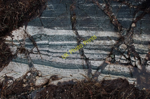 Photo 6"x4" Rock with a long history Lochan an Iasgaich c2010