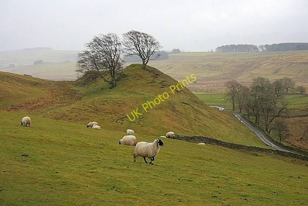 Photo 6"x4" Knoll, Near Walltown Blenkinsopp Hall c2010