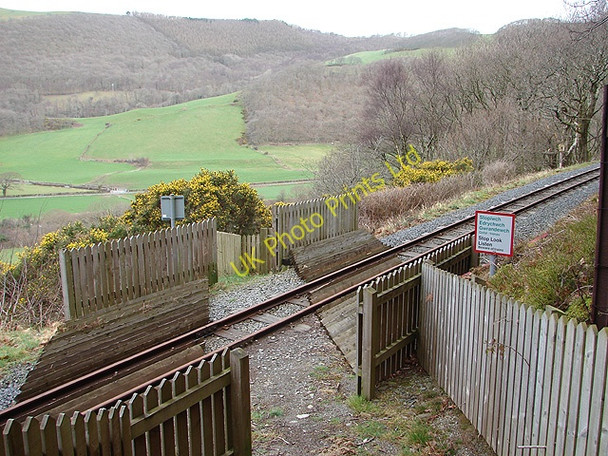 Photo 6"x4" Vale of Rheidol Railway foot crossing Aberffrwd\/SN6878 c2008