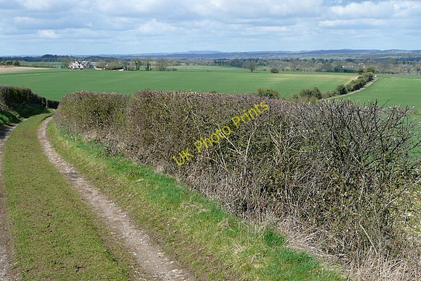 Photo 6"x4" Byway towards Cliddesden Winslade\/SU6548 c2010