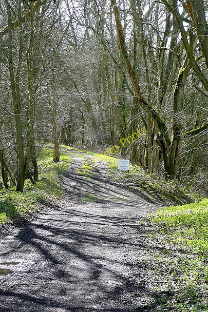 Photo 6"x4" On the railway line Winslade\/SU6548 c2010