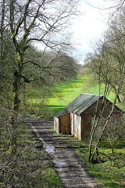 Photo 6"x4" From the former railway line Winslade\/SU6548 c2010