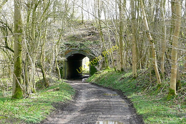 Photo 6"x4" Byway under the railway line Winslade\/SU6548 c2010