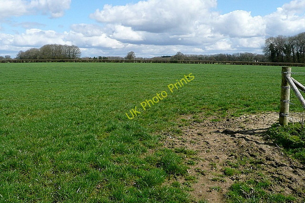 Photo 6"x4" North-east from Hurst Farm Herriard c2010
