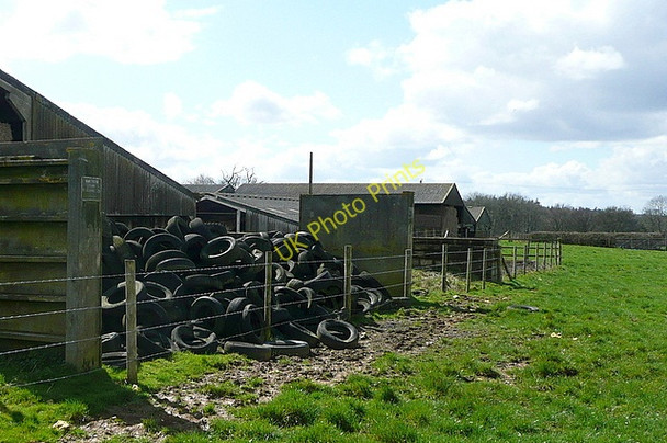 Photo 6"x4" Hurst Farm Bagmore\/SU6644 c2010