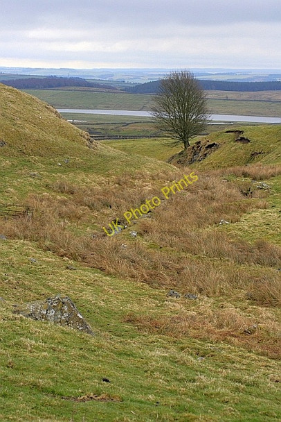 Photo 6"x4" Knag Burn Thorngrafton c2010