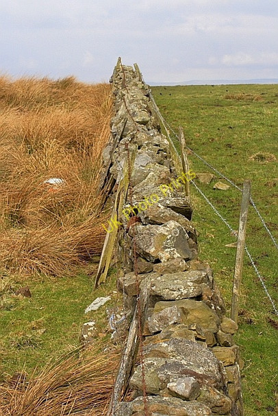 Photo 6"x4" Wall, Near Carrow Uppertown\/NY8672 c2010