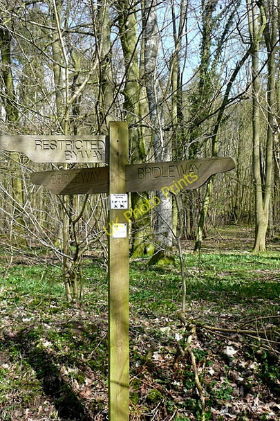 Photo 6"x4" Signpost in the wood Powntley Copse c2010