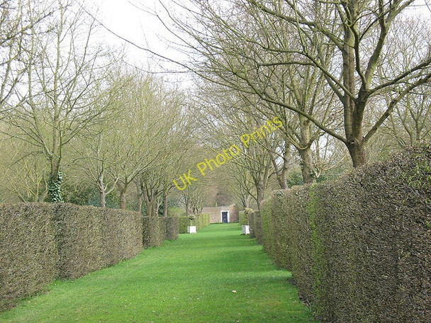 Photo 6"x4" Ham House: the Wilderness Kingston Upon Thames c2010
