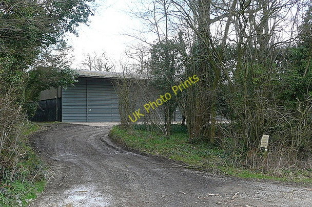 Photo 6"x4" Pudding Copse Tunworth c2010