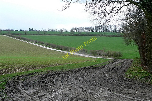 Photo 6"x4" North of Pudding Copse Tunworth c2010