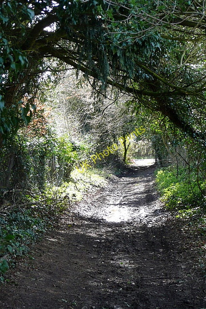 Photo 6"x4" Byway to Ragmore Mapledurwell c2010