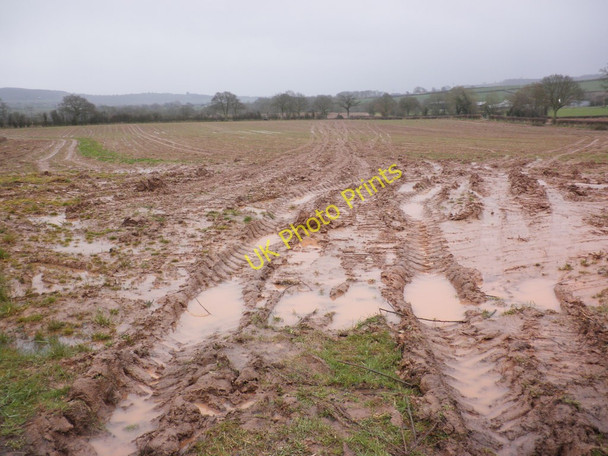 Photo 6"x4" Mud, glorious mud Kilpeck c2010