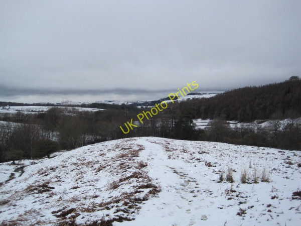 Photo 6"x4" Footpath leading to Park Sinderhope c2010